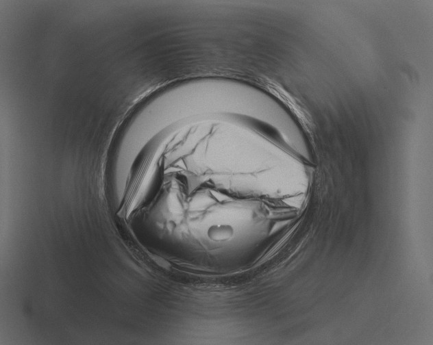 X0000116300203200912291438