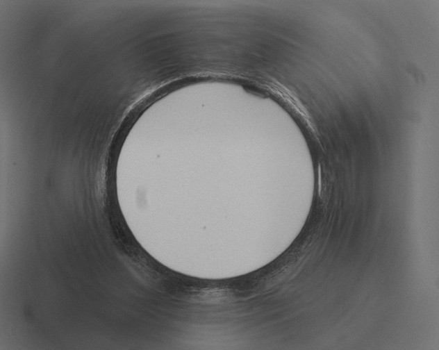 X0000116300204200912291438