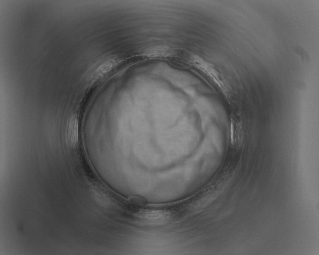 X0000116300205200912291438