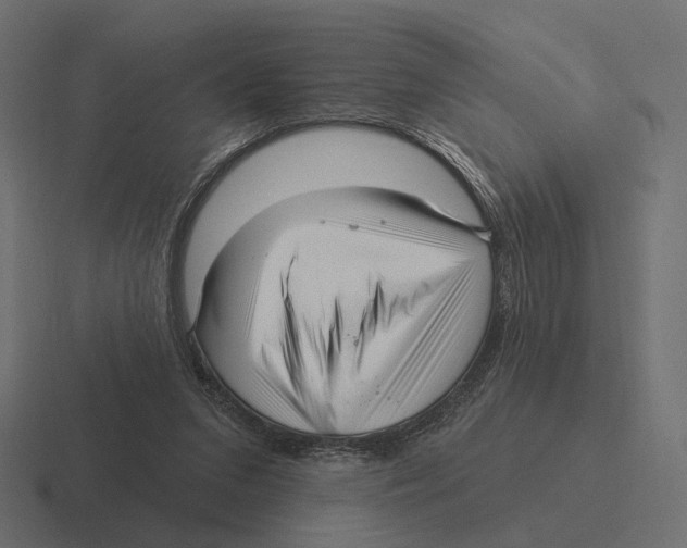 X0000116300207200912291438