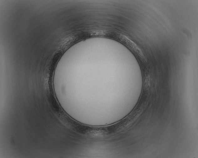 X0000116300209200912291438