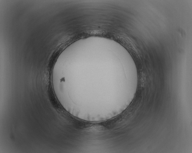 X0000116300210200912291438