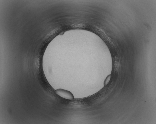 X0000116300211200912291438