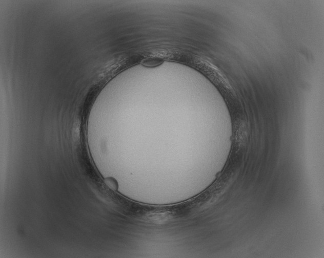 X0000116300213200912291438