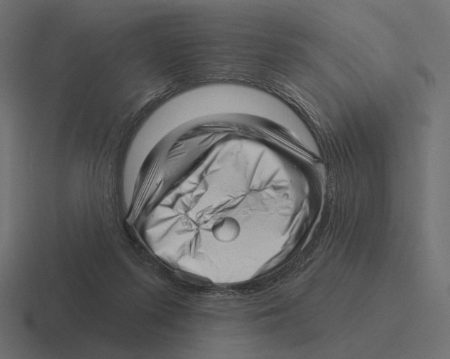 X0000116300215200912291438