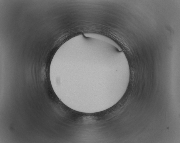 X0000116300216200912291438