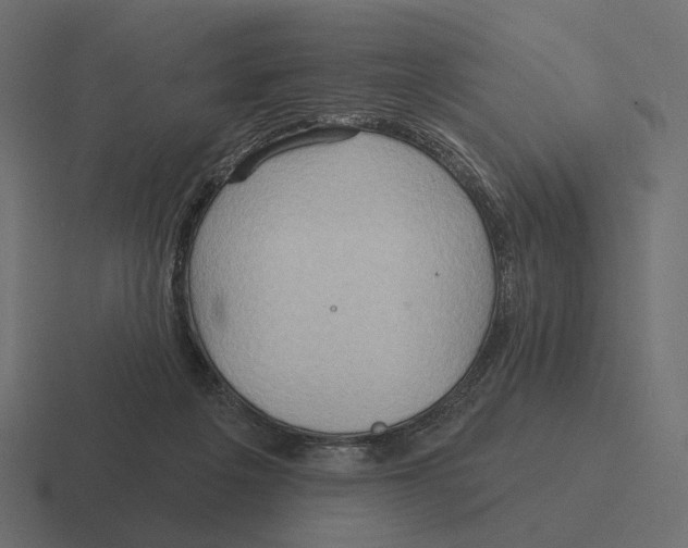 X0000116300217200912291438