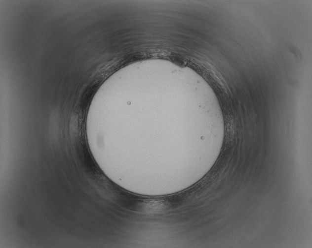 X0000116300218200912291438