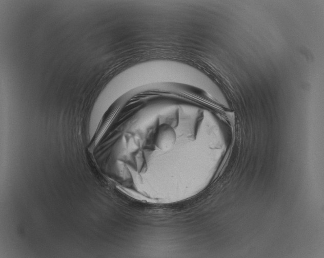 X0000116300221200912291438