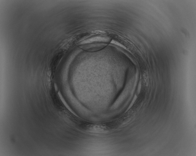 X0000116300223200912291438