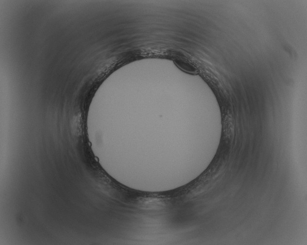 X0000116300224200912291438