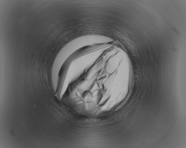 X0000116300225200912291438