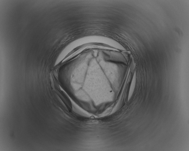 X0000116300227200912291438