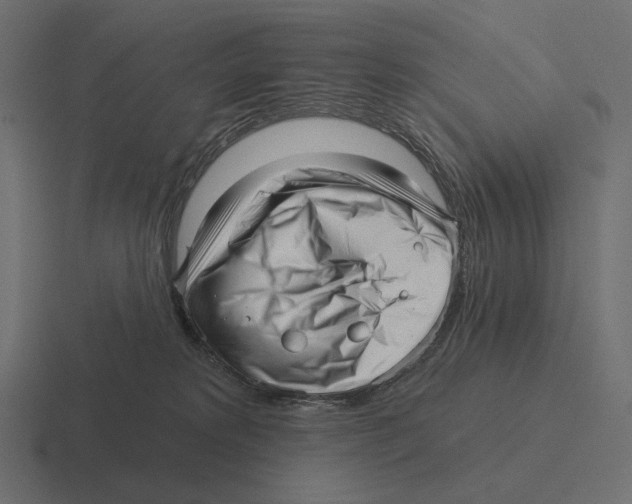 X0000116300229200912291438