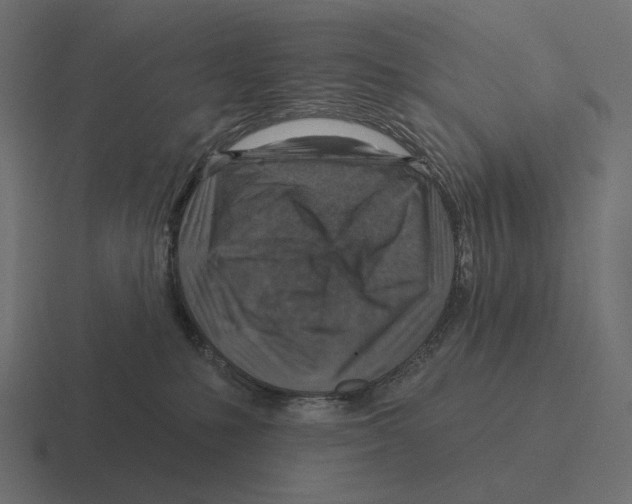 X0000116300231200912291438