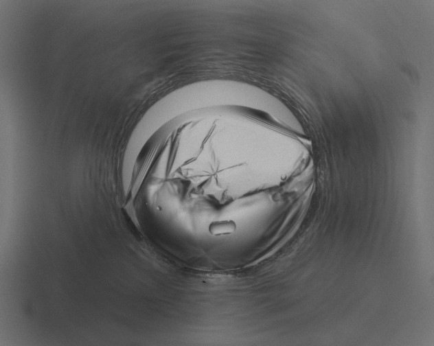 X0000116300233200912291438