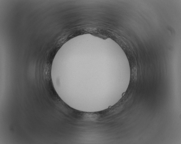 X0000116300234200912291438