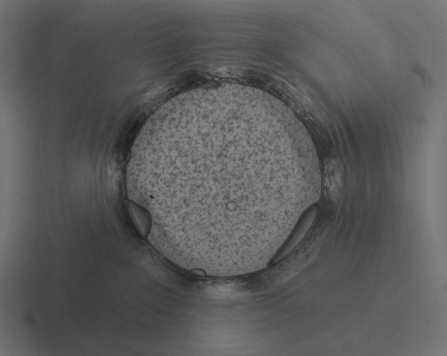 X0000116300235200912291438