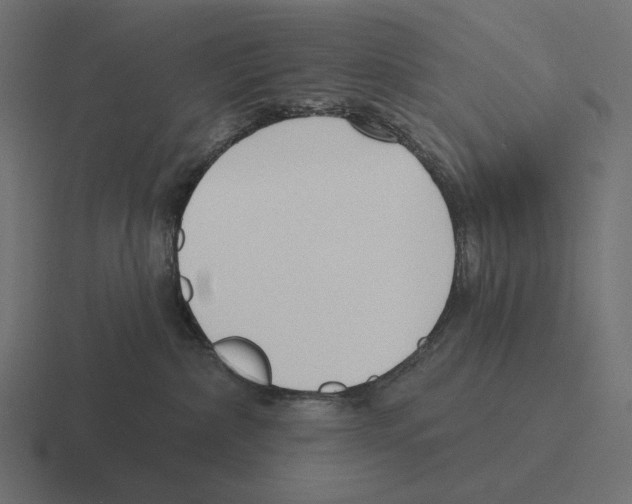 X0000116300236200912291438