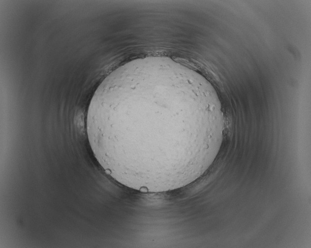 X0000116300238200912291438