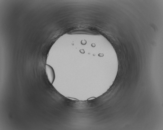 X0000116300240200912291438