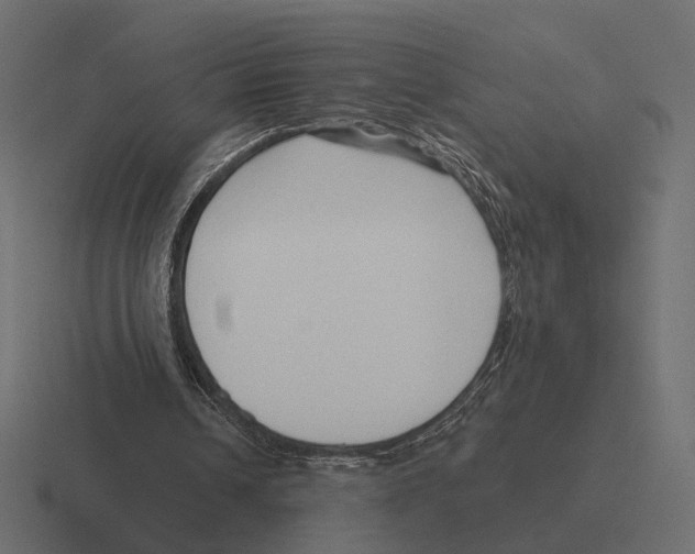 X0000116300242200912291437