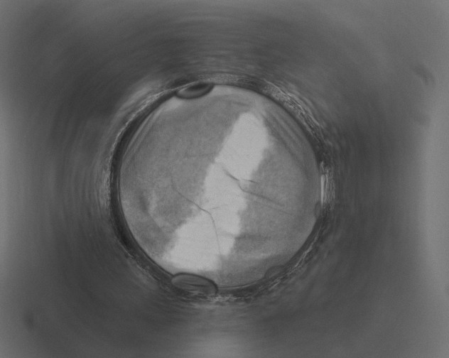 X0000116300243200912291437