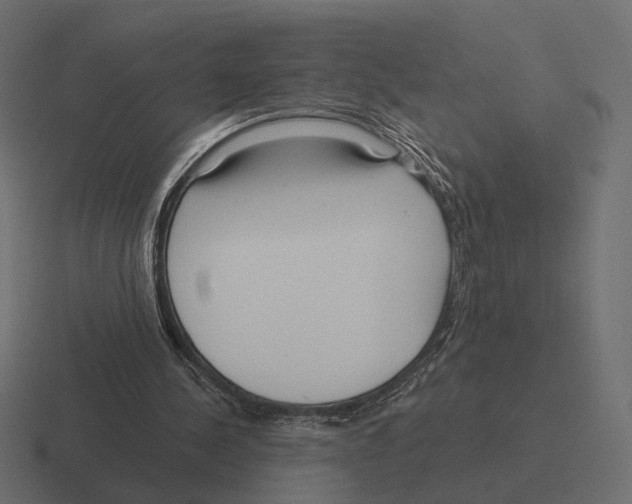 X0000116300244200912291437