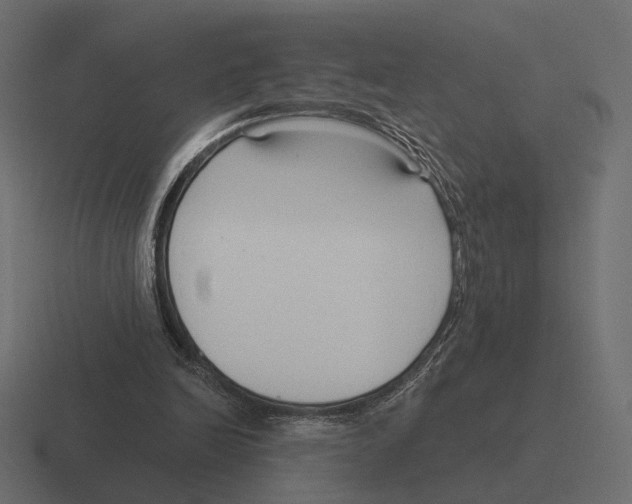 X0000116300246200912291437