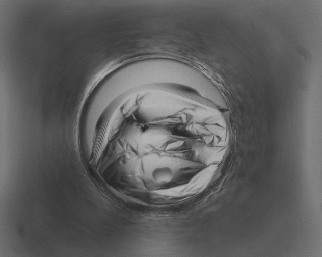 X0000116300248200912291437