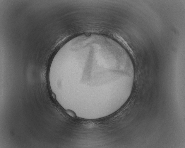 X0000116300249200912291437