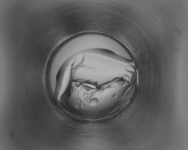 X0000116300252200912291437