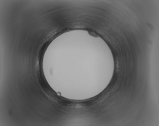 X0000116300254200912291437