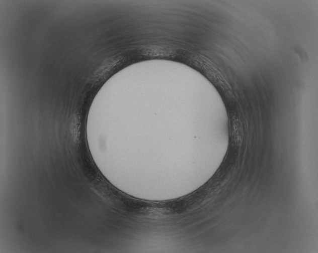 X0000116300255200912291437