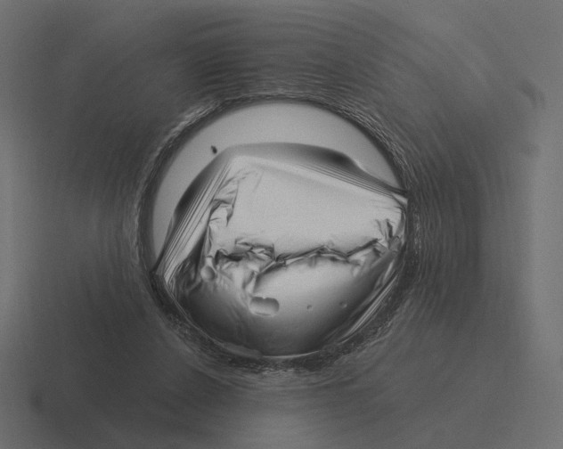 X0000116300256200912291437