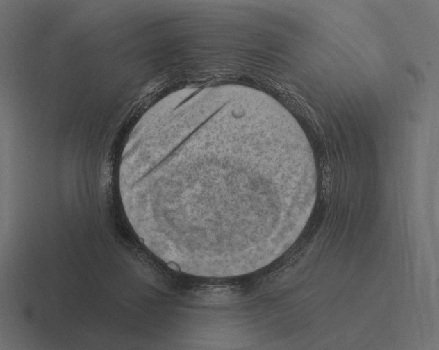 X0000116300260200912291437