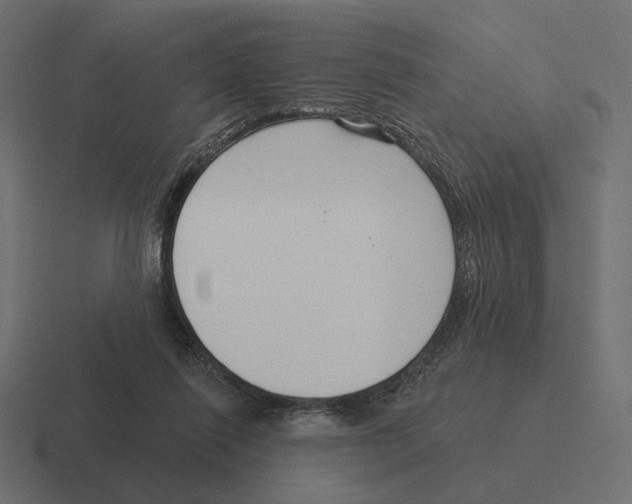 X0000116300262200912291437