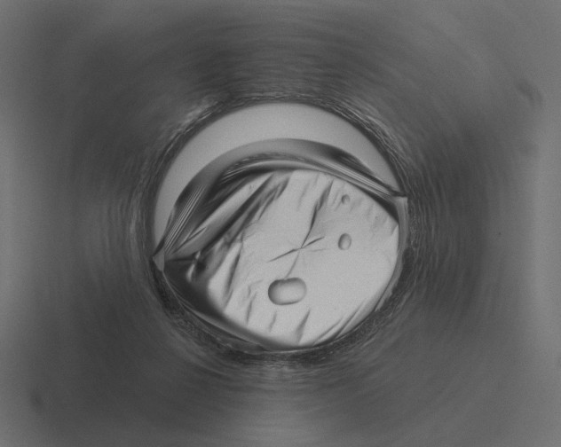 X0000116300264200912291437