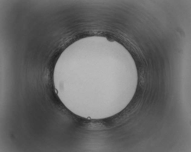 X0000116300270200912291437