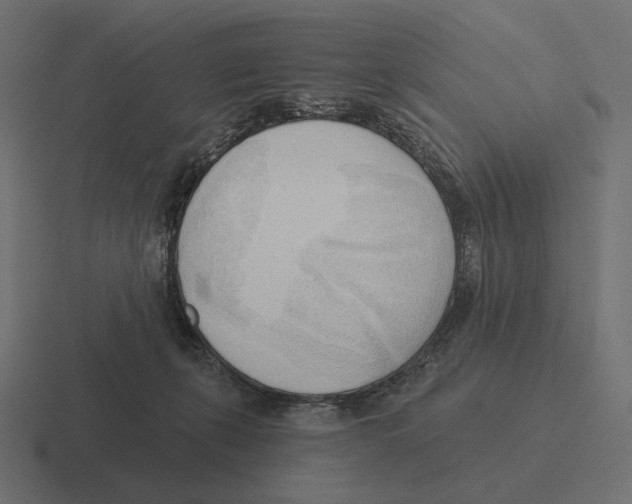 X0000116300271200912291437