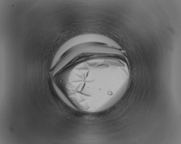 X0000116300272200912291437