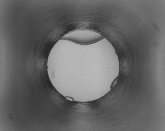 X0000116300280200912291437