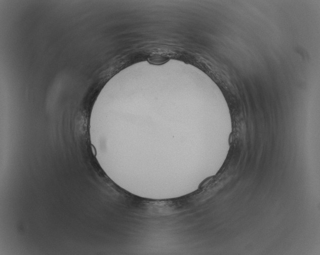 X0000116300281200912291437