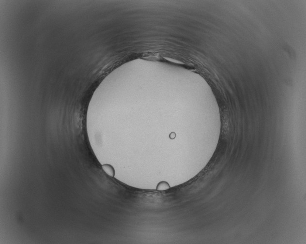 X0000116300282200912291437