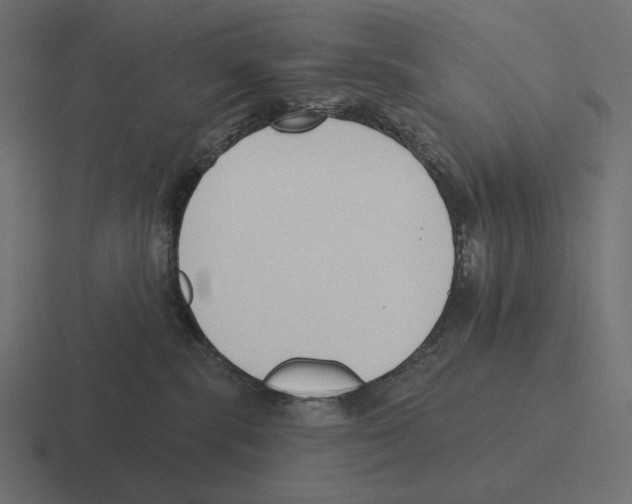 X0000116300283200912291437