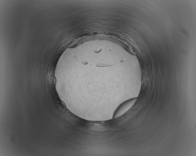 X0000116300285200912291438