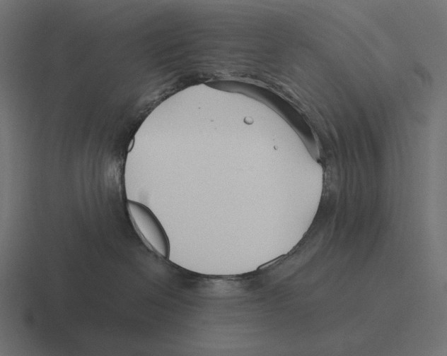 X0000116300286200912291438