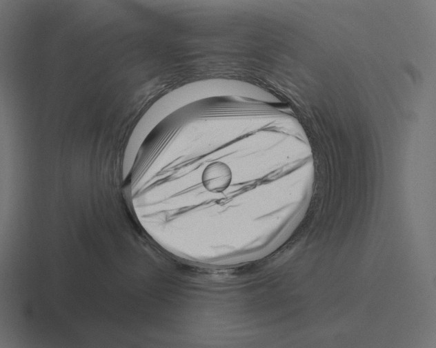 X0000116300288200912291438