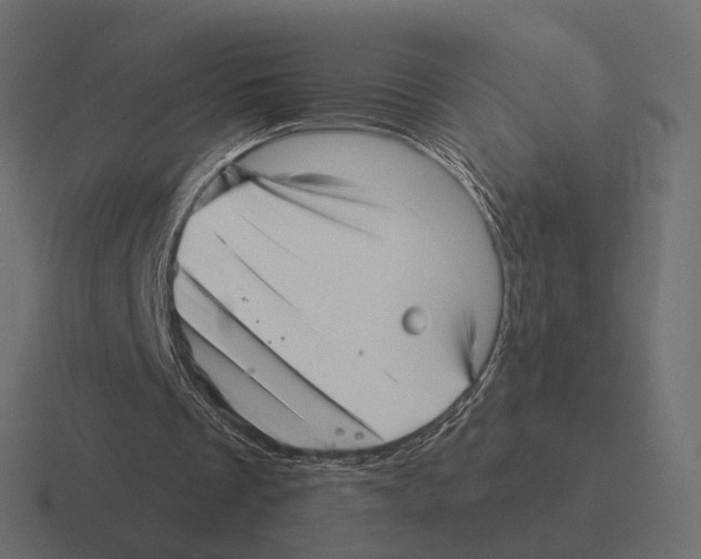 X0000116300289200912291437