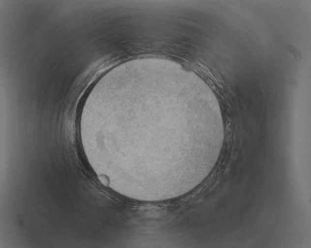 X0000116300290200912291437